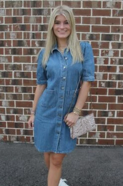 Denim Dreams Button Up Dress