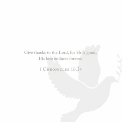 Anne Neilson Promise Scripture Cards -Fashion Clothing Store Screenshot2023 09 07170159